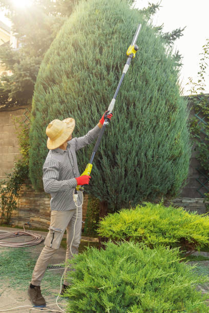 Best Lawn Watering Services  in Pion Hills, CA